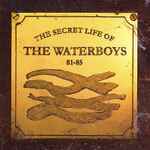 The Secret Life Of The Waterboys 81-85